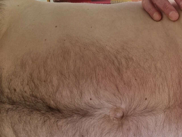 BEARJOHNSON free hard sexy photo