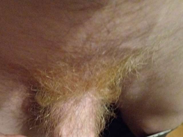 CY8CGX7TXXHI free hard sexy photo